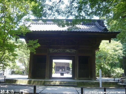 妙本寺三門