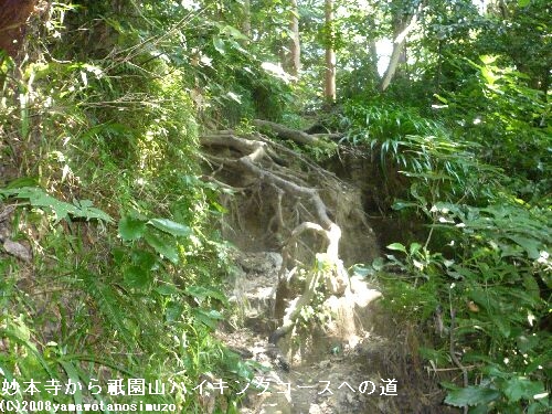 妙本寺から祇園山ハイキングコースへの道