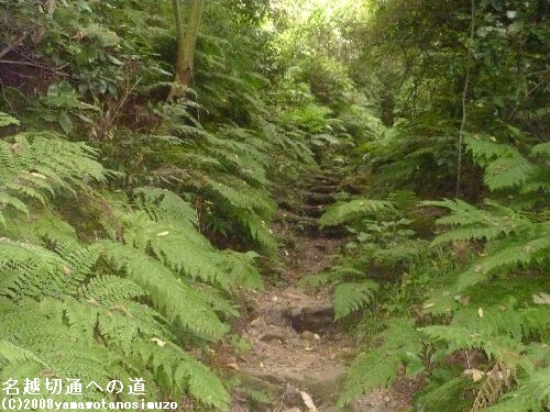 名越切通への道