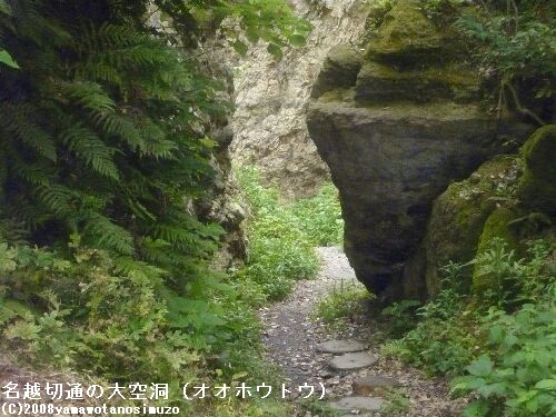 名越切通の大空洞（オオホウトウ）