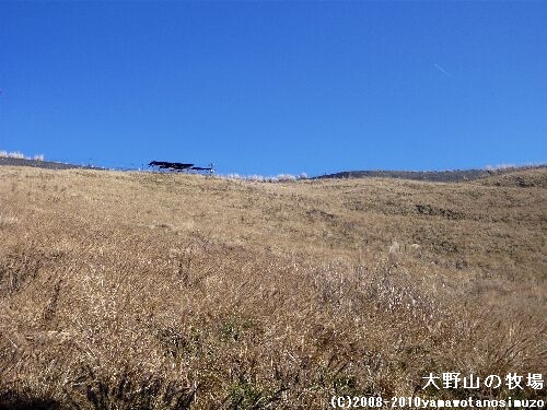 大野山の牧場