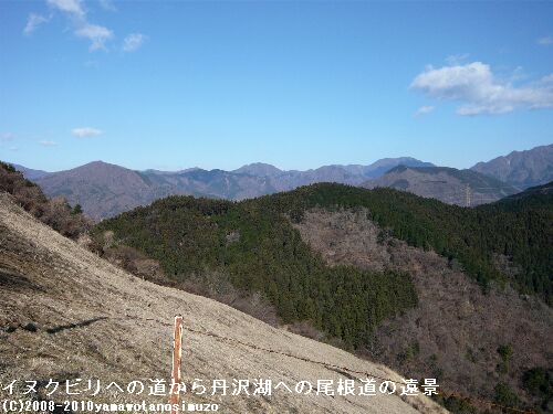 イヌクビリへの道から丹沢湖への尾根道の遠景