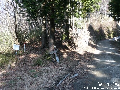 湯元平分岐