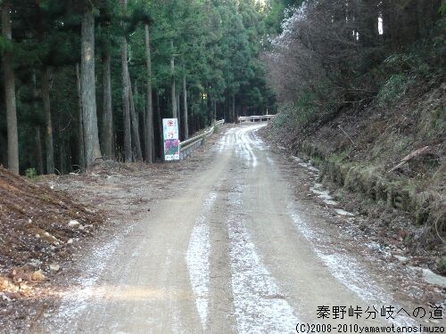 秦野峠分岐への道