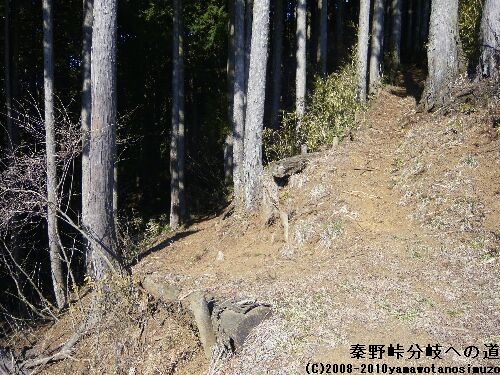 秦野峠分岐への道