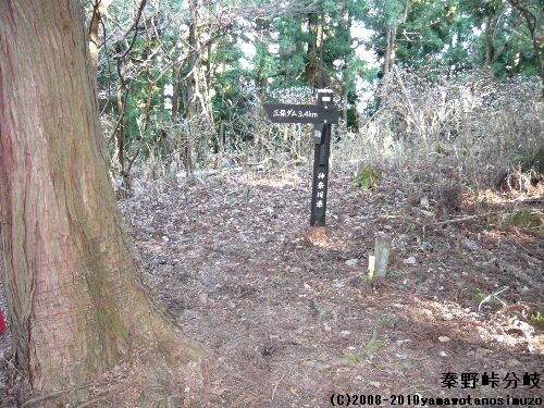秦野峠分岐