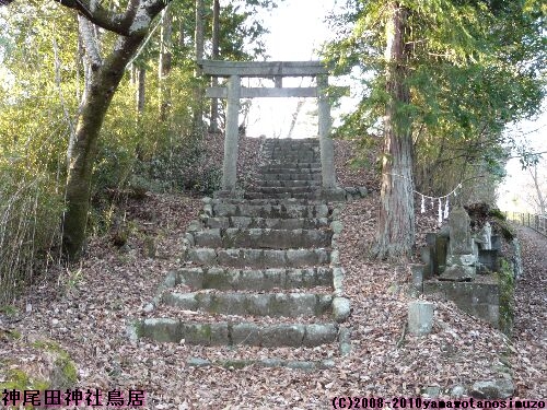 神尾田神社鳥居