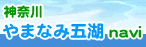 初夏の大野山ハイキング