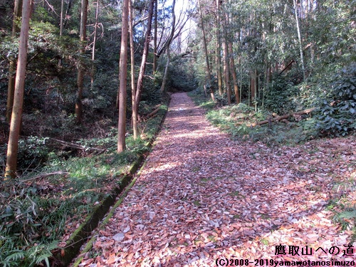 鷹取山への道