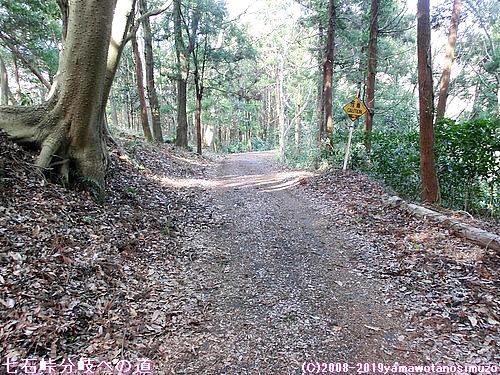 七石峠分岐への道