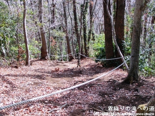 霧降りの滝への道