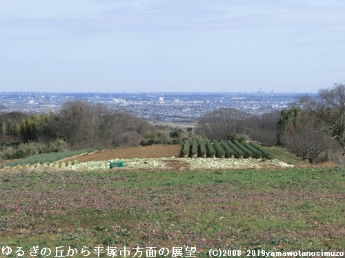 ゆるぎの丘から平塚市方面の展望