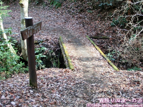 霧降りの滝への道