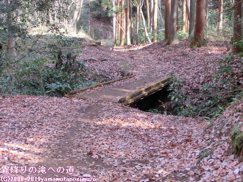 霧降りの滝への道