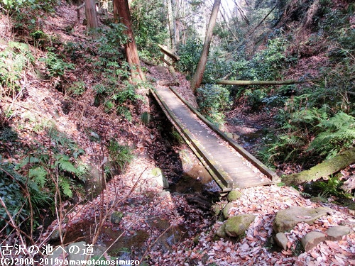 古沢の池への道