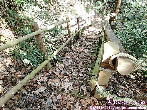 古沢の池への道
