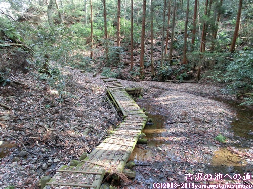 古沢の池への道