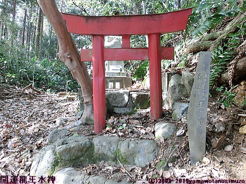開運龍王水神