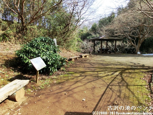 古沢の池のベンチ