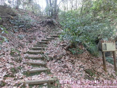 霧降りの滝への分岐へ戻る道