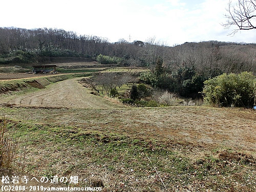 松岩寺への道の畑