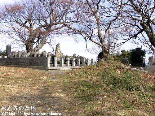 松岩寺の墓地