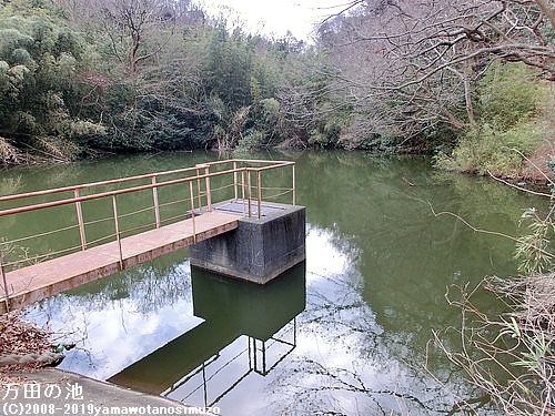 万田の池
