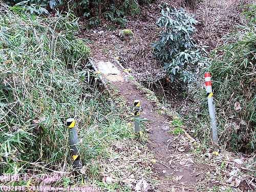 湘南平への道
