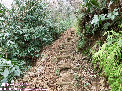 湘南平への道
