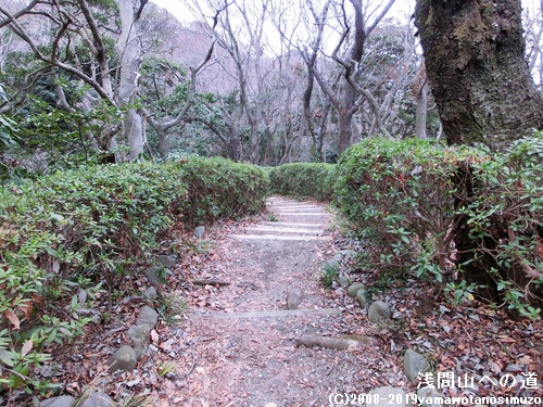 浅間山への道