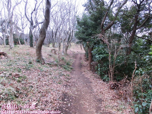 八俵山への道