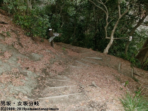 男坂・女坂分岐