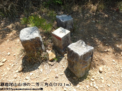 pRR̓񓙎Op_i273.1mj